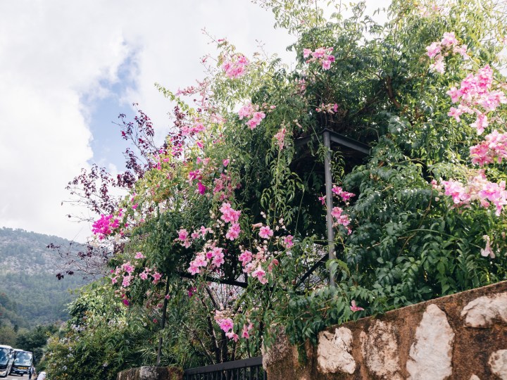 Processed with VSCO with hb1 preset