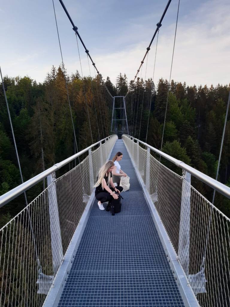 Die Hängebrücke "Wildline" im Schwarzwald
